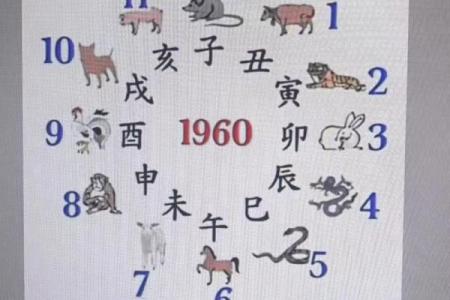 紫微斗数兴趣 紫微斗数爱好交流群？