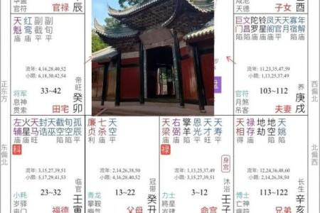 紫微斗数诸星落诸宫之：天同星兄弟宫详解