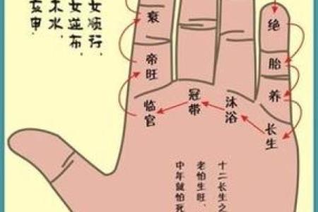 紫薇斗数择日择吉趋吉避凶