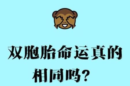 命理分析为何双胞胎八字相同命不同