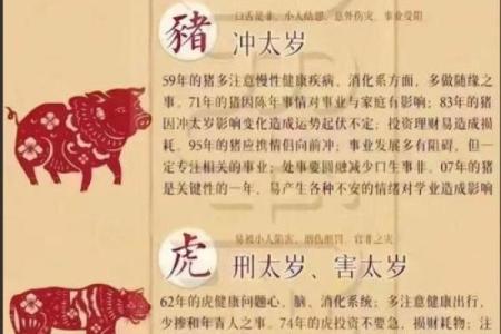 93鸡95猪八字合不合 比较相合的一对