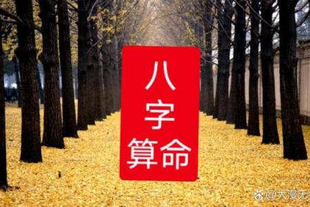 格局高的八字