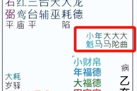 紫薇斗数行运大限