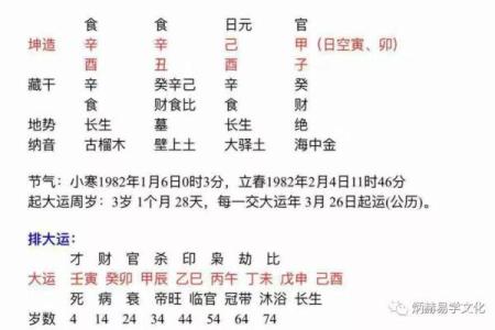 八字食神