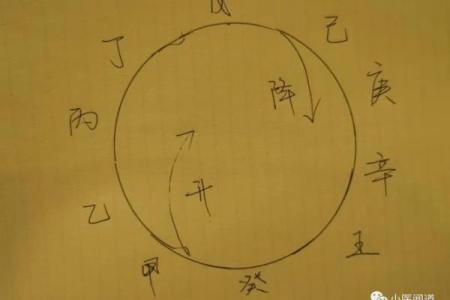 八字里的地支怎么论财官印