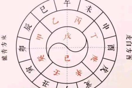 八字戊多