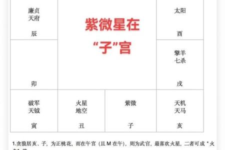 紫微斗数诸星落诸宫之：子女宫