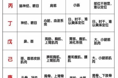 男女生辰八字配对查询口诀 如何用生辰八字查询男女配对