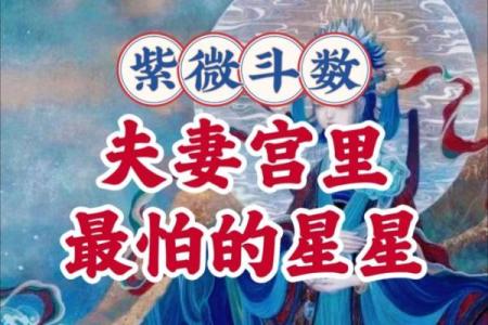 紫微斗数之夫妻宫与诸星，天梁星在夫妻宫是什么意思？
