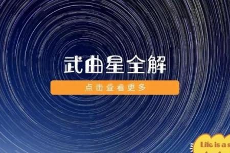 紫微斗数之事业宫与诸星，武曲星在事业宫是什么意思？