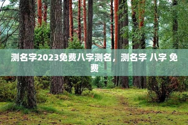 名字测八字