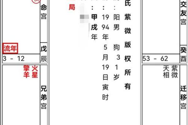 大运紫微斗数命盘查询详解 紫微斗数大运什么意思？