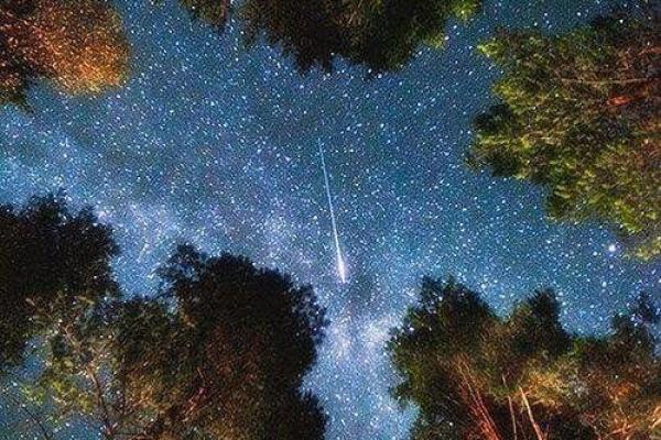 东有小山紫薇斗数