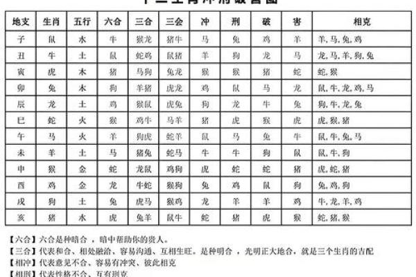 八字看属相