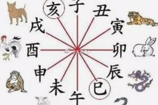 八字看属相