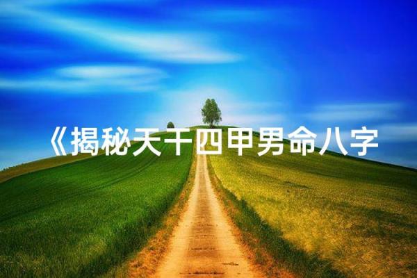 四甲八字