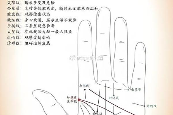 什么紫薇斗数安享富贵