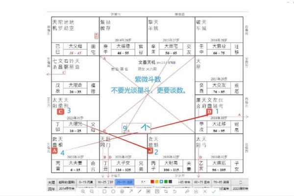什么紫薇斗数安享富贵