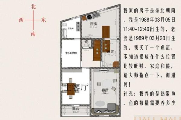 房子东面放鱼缸的风水