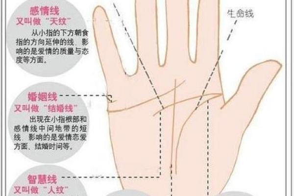 手相算命,女人手相成功线图解