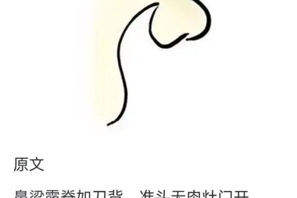 看鼻子面相算命大全