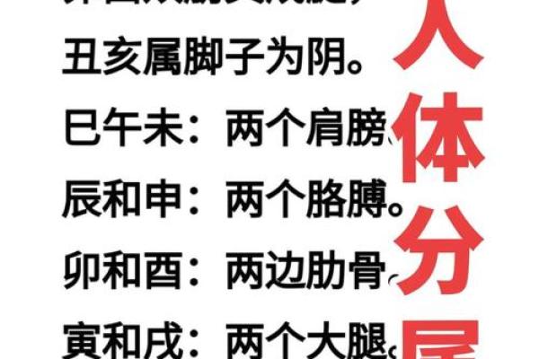 八字分析：如何看待八字中的学业成就？