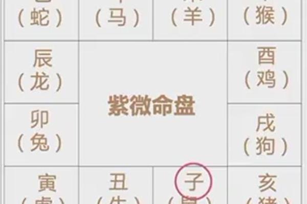 紫薇斗数午宫
