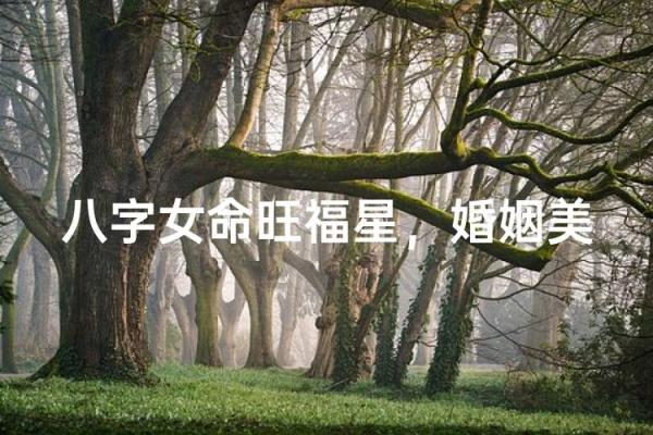 八字有福星