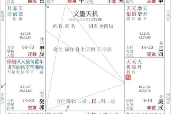 紫薇斗数中的坐守是什么