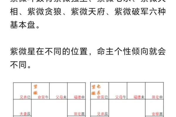 紫薇斗数限命