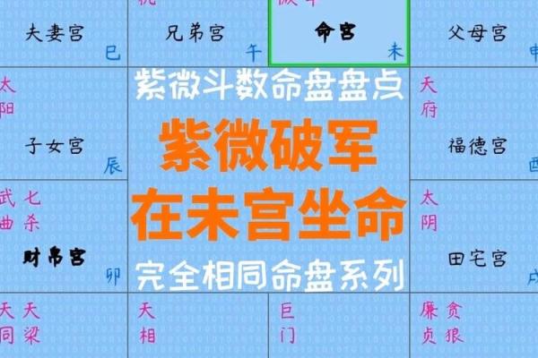 紫薇斗数求解盘