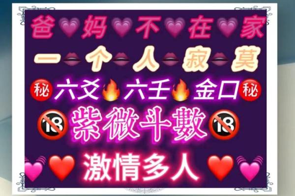 怡然紫薇斗数