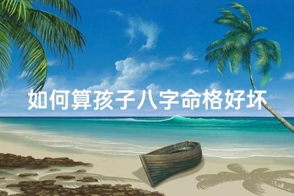 外向的八字