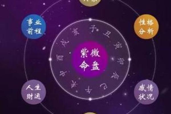 紫薇斗数看感情