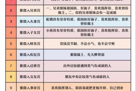 紫薇斗数怎么看主宫