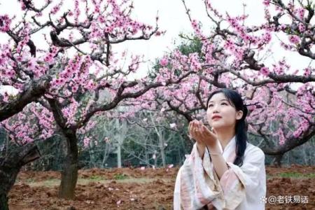 桃花女人八字