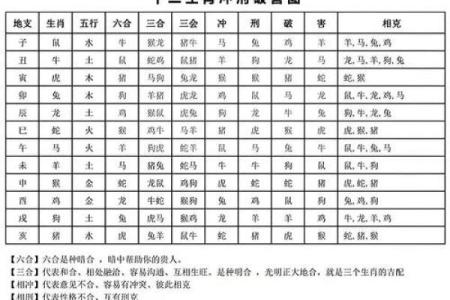 八字看属相