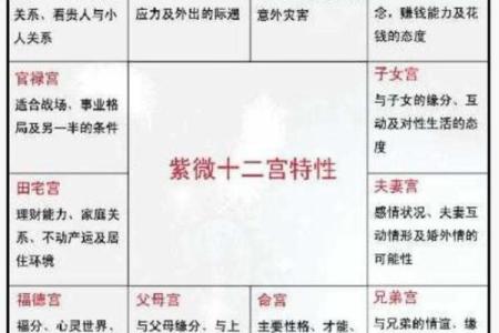 紫微斗数诸星落诸宫之：天梁星兄弟宫详解
