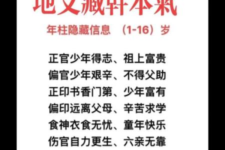 四柱八字预测算命时地支藏干对命局怎么作用