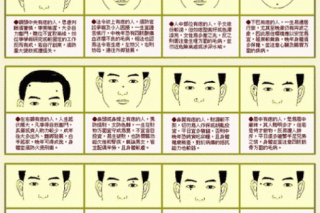 看鼻子面相算命大全