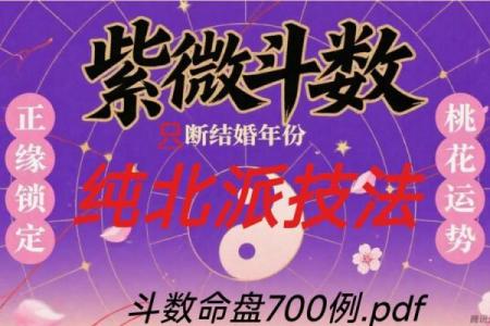 紫薇斗数看姻缘百度贴吧