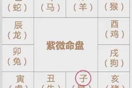 紫薇斗数午宫
