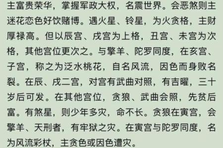 紫微斗数之事业宫与诸星，贪狼星在事业宫是什么意思？