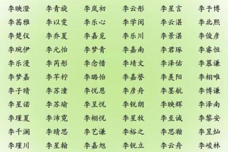 新生儿男孩名字打分测试打分