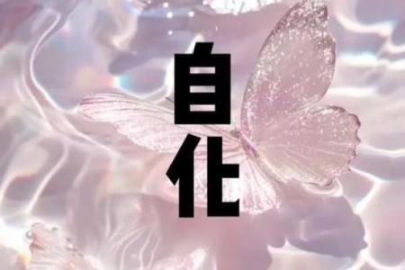 怡然紫薇斗数