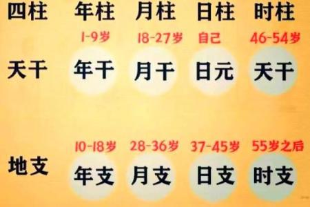 你知道四柱八字中年、月、日、时支所藏的天干吗