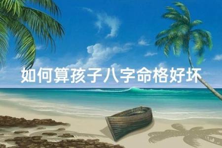 外向的八字