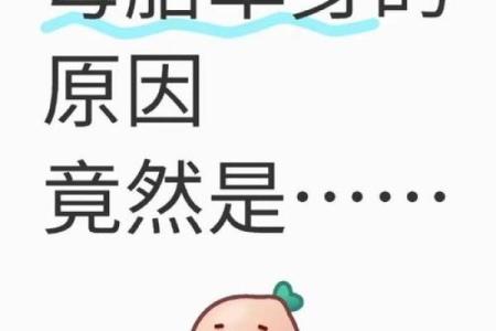 老是单身，风水原因有哪些呢？