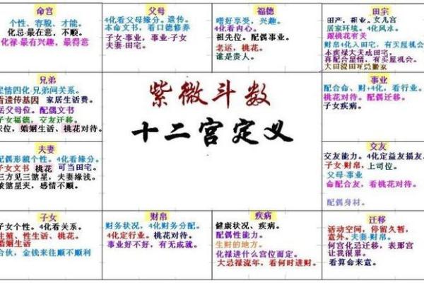 猪猪紫微斗数 紫微斗数在线排盘免费解析？