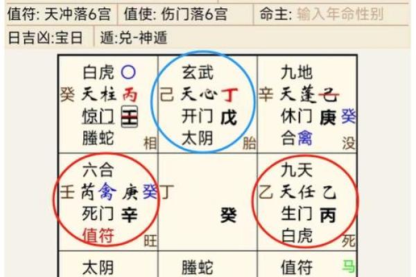 紫薇斗数阳宫